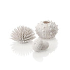 Sea Urchins Set of 3 - White