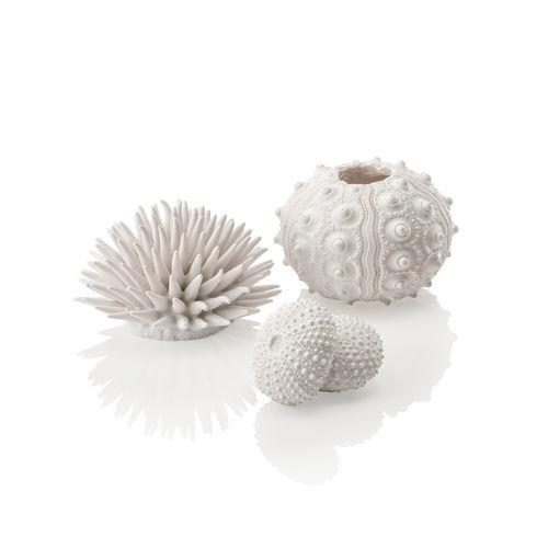 Sea Urchins Set of 3 - White