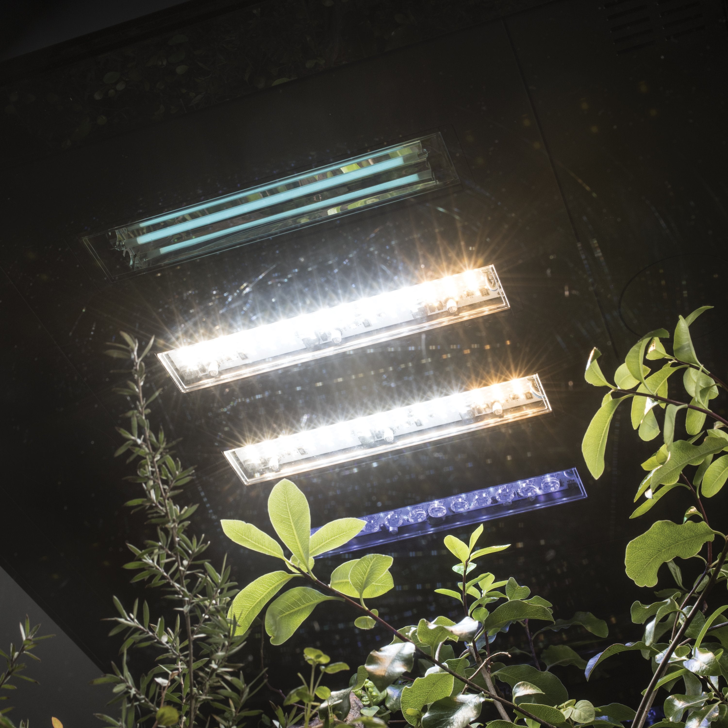 EARTH Sunlight LED Kit in Use