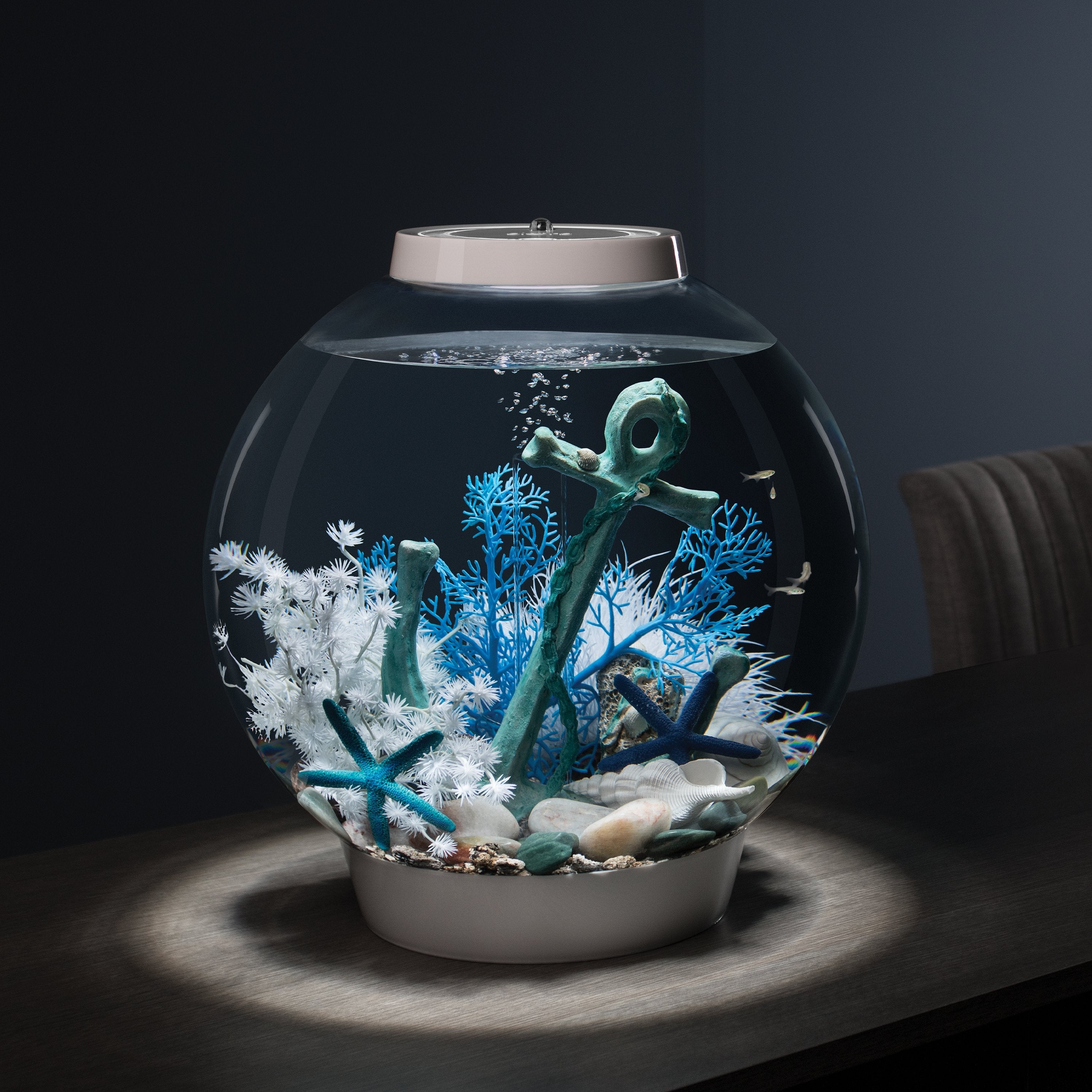 CLASSIC 30 Aquarium with Multi Colour LED Light - White In Use