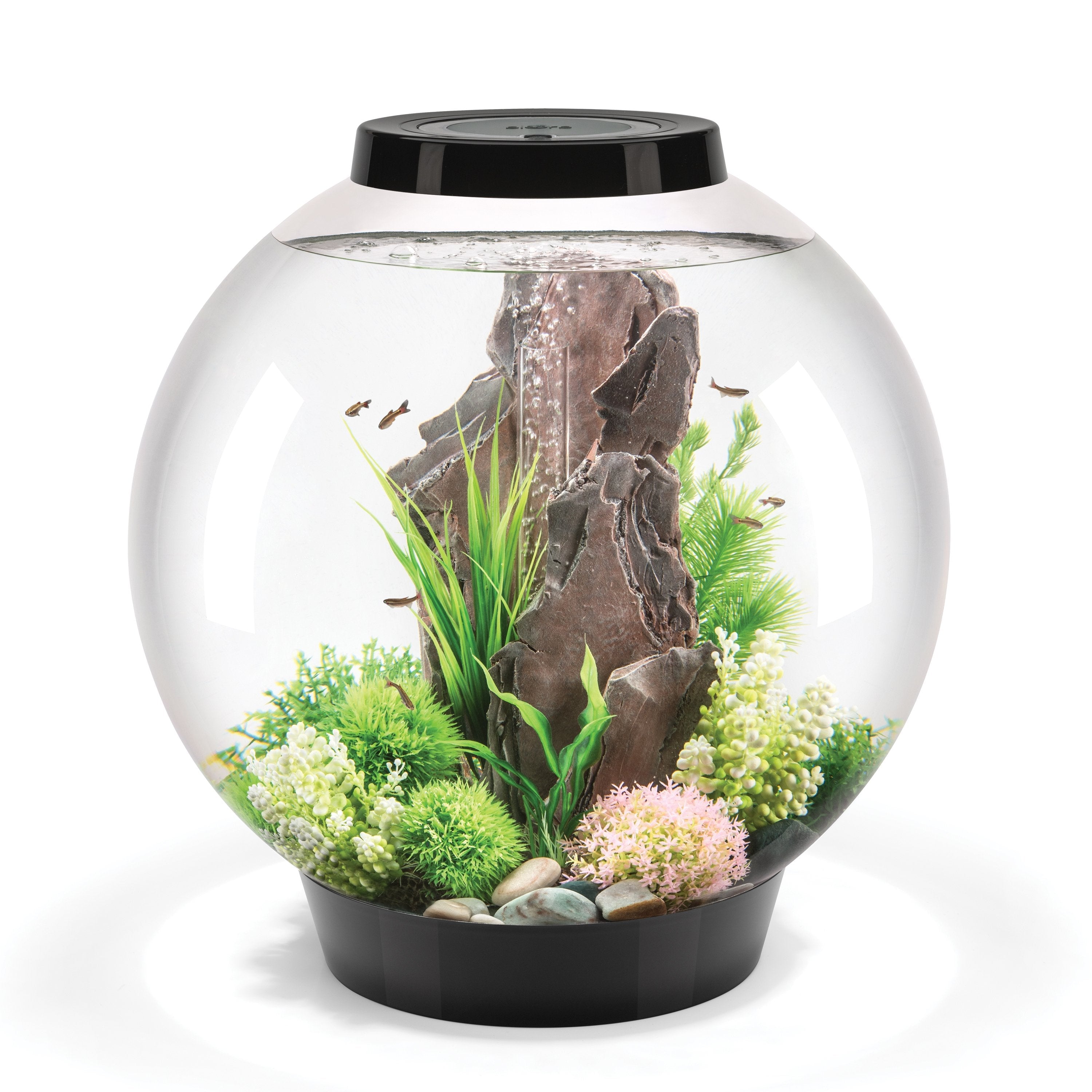 CLASSIC 60 Aquarium with Standard White LED Light - Black