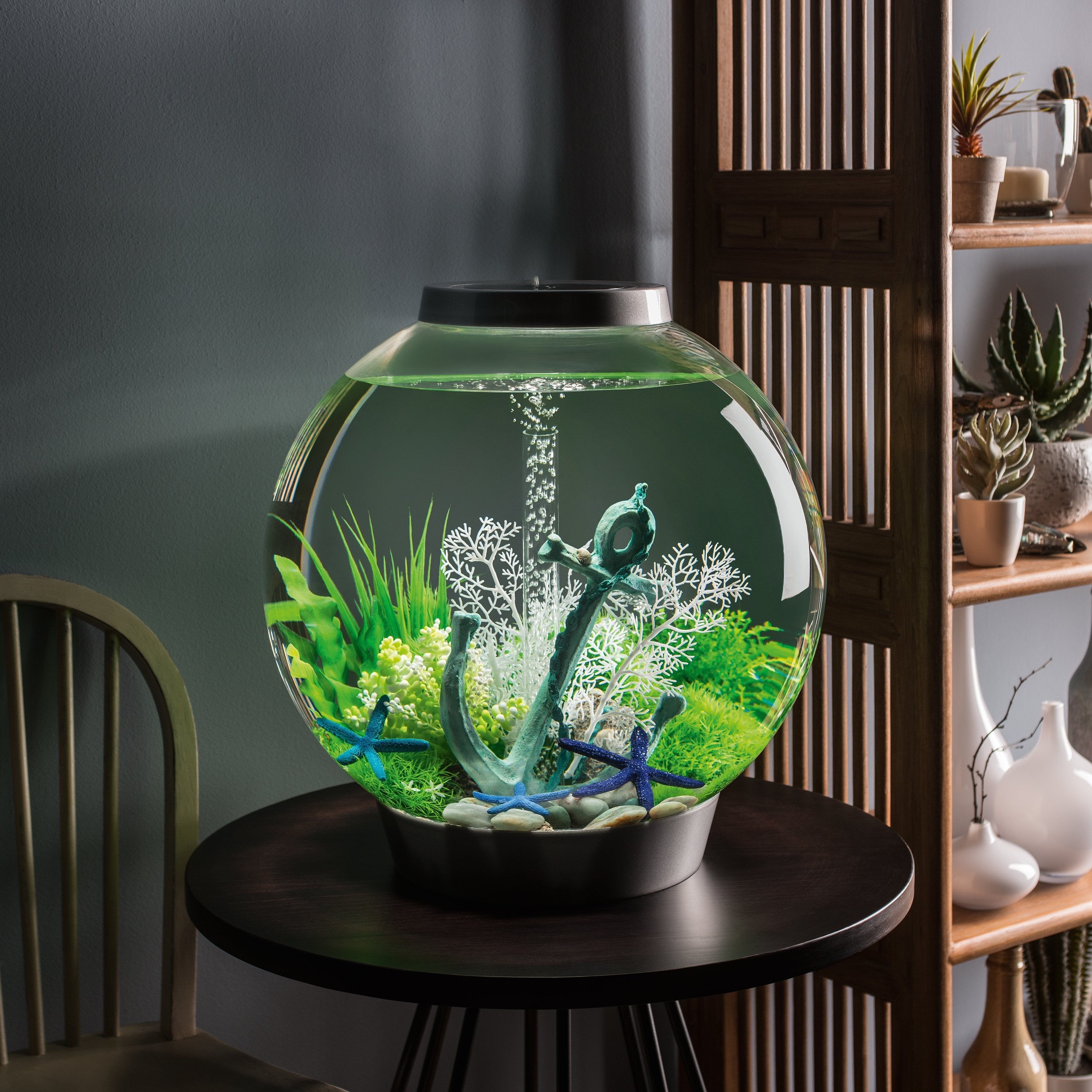 CLASSIC 60 Aquarium with Standard White LED Light - Silver In Use