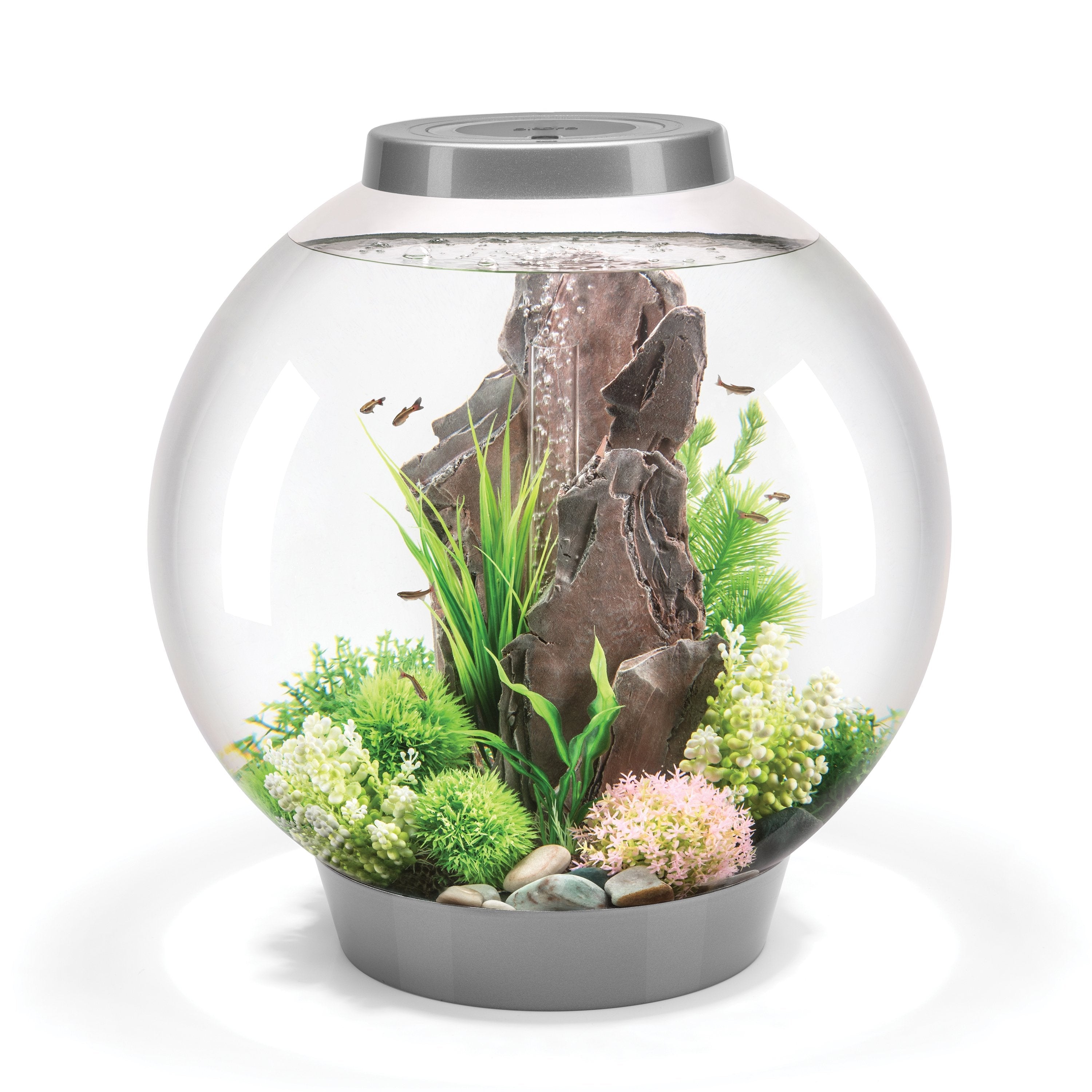 CLASSIC 60 Aquarium with Standard White LED Light - Silver