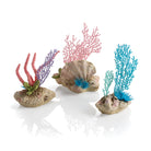 Seychelles Coral Fans & Shells Set of 3