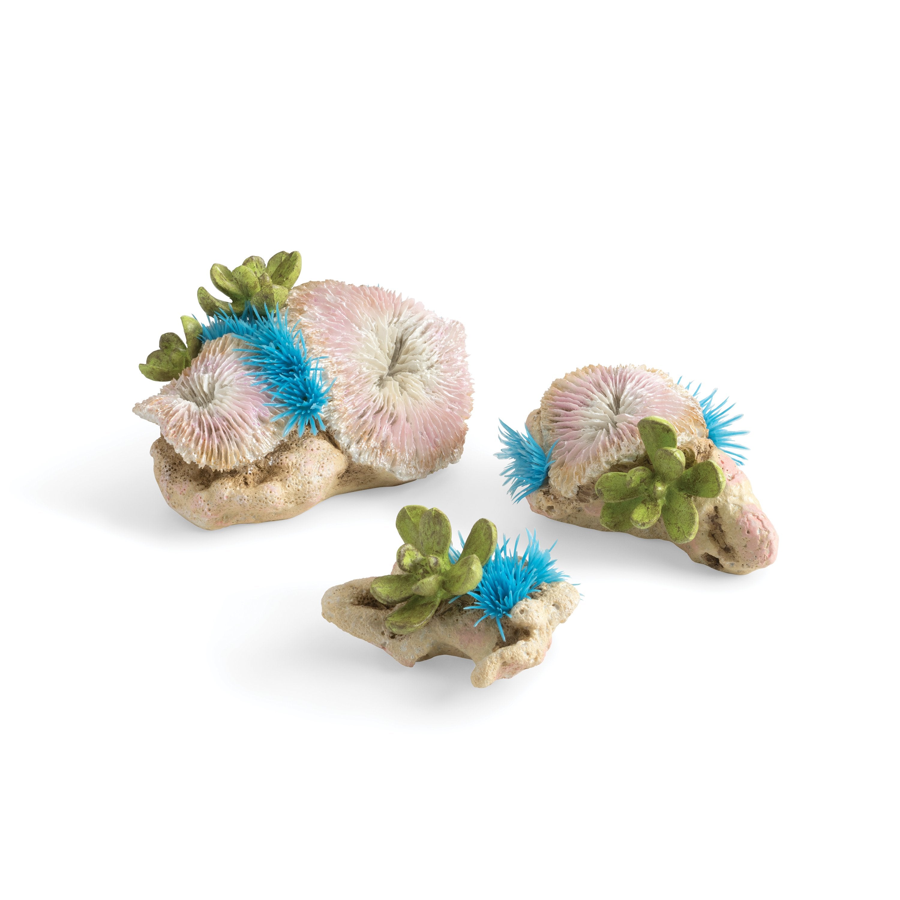 biOrb Seychelles Plate Corals & Button Polyps Set of 3