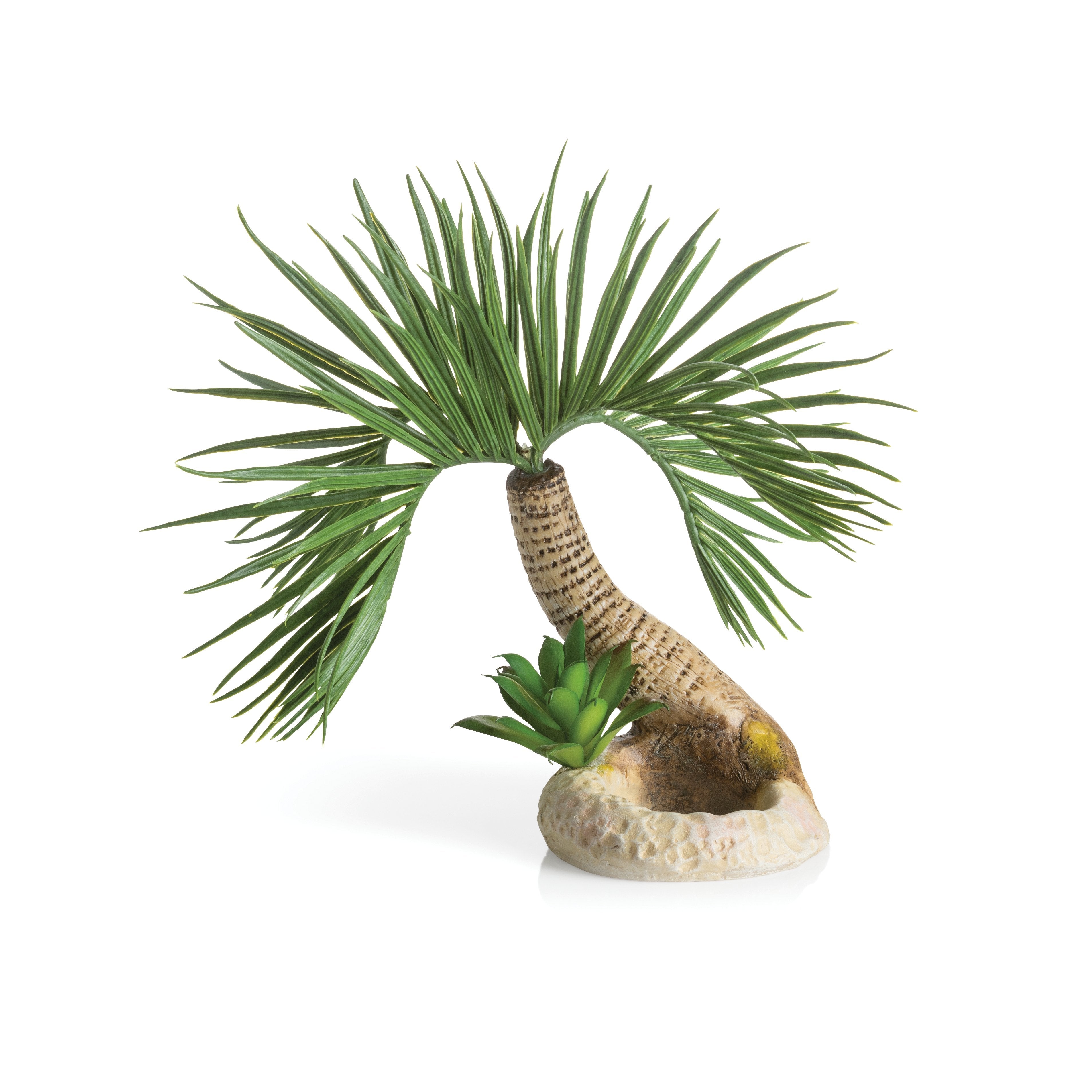 Medium Seychelles Palm Tree Sculpture