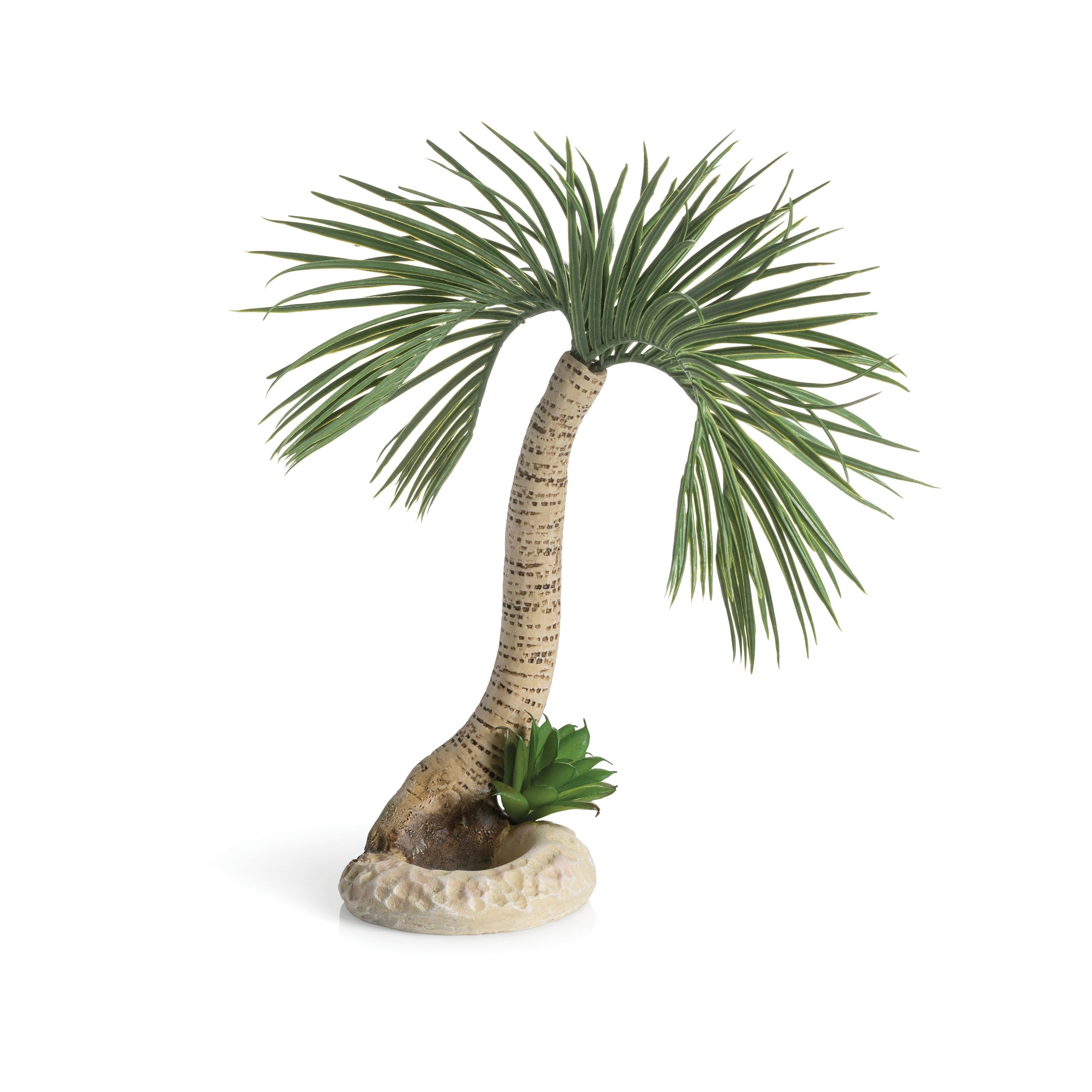 Large Seychelles Palm Tree Sculpture