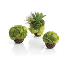 Coral Ball Set - Green