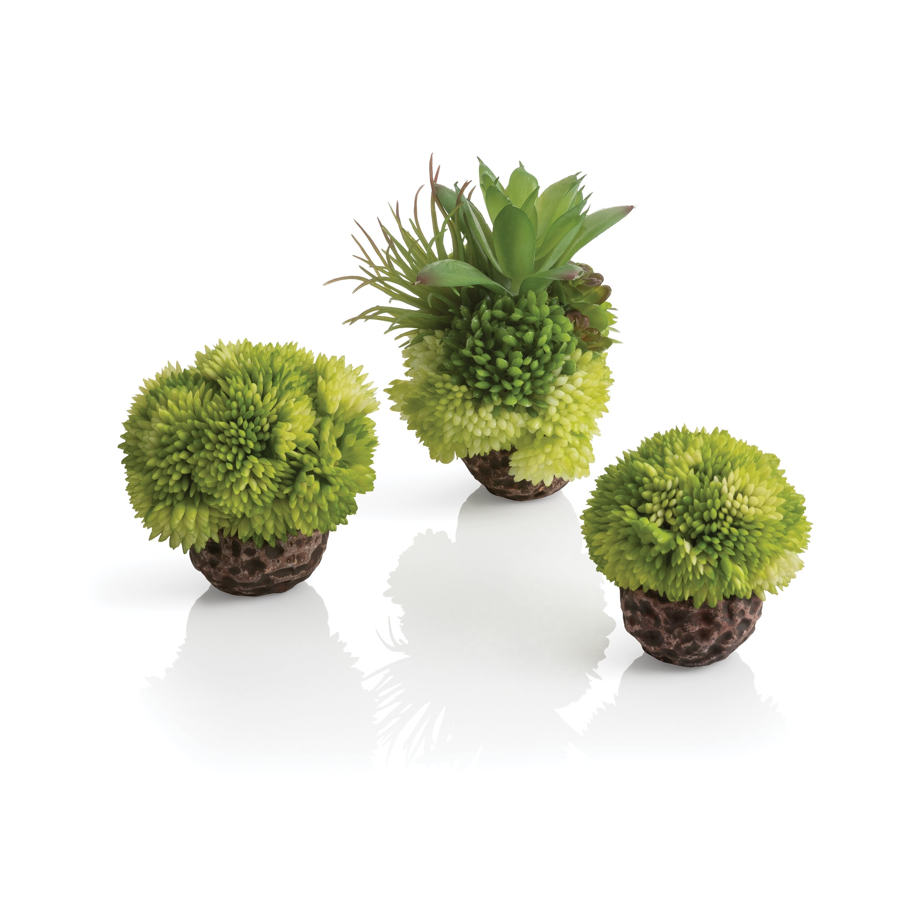 Coral Ball Set - Green