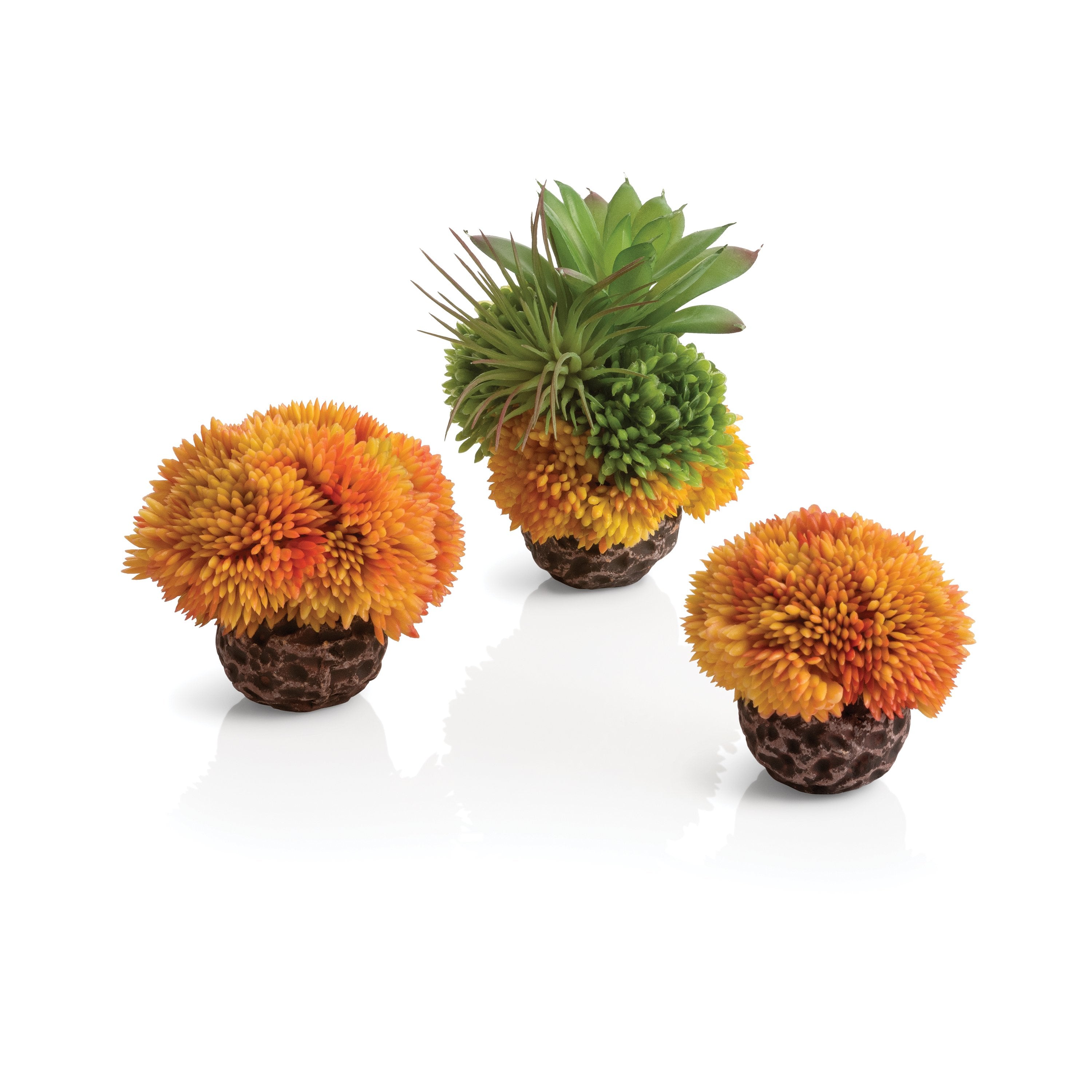 Coral Ball Set - Orange