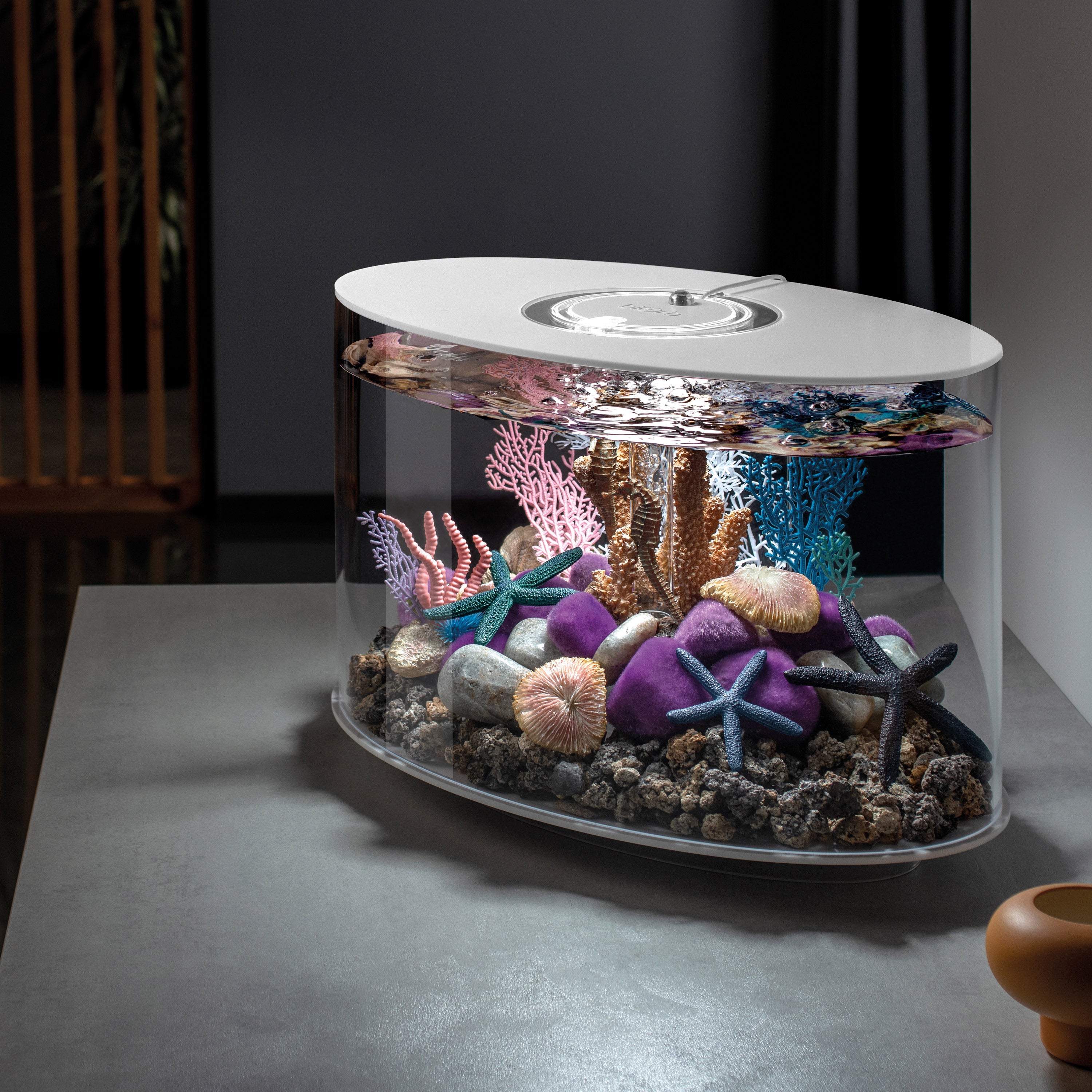 LOOP 15 Aquarium with Multi Colour LED Light - White In Use