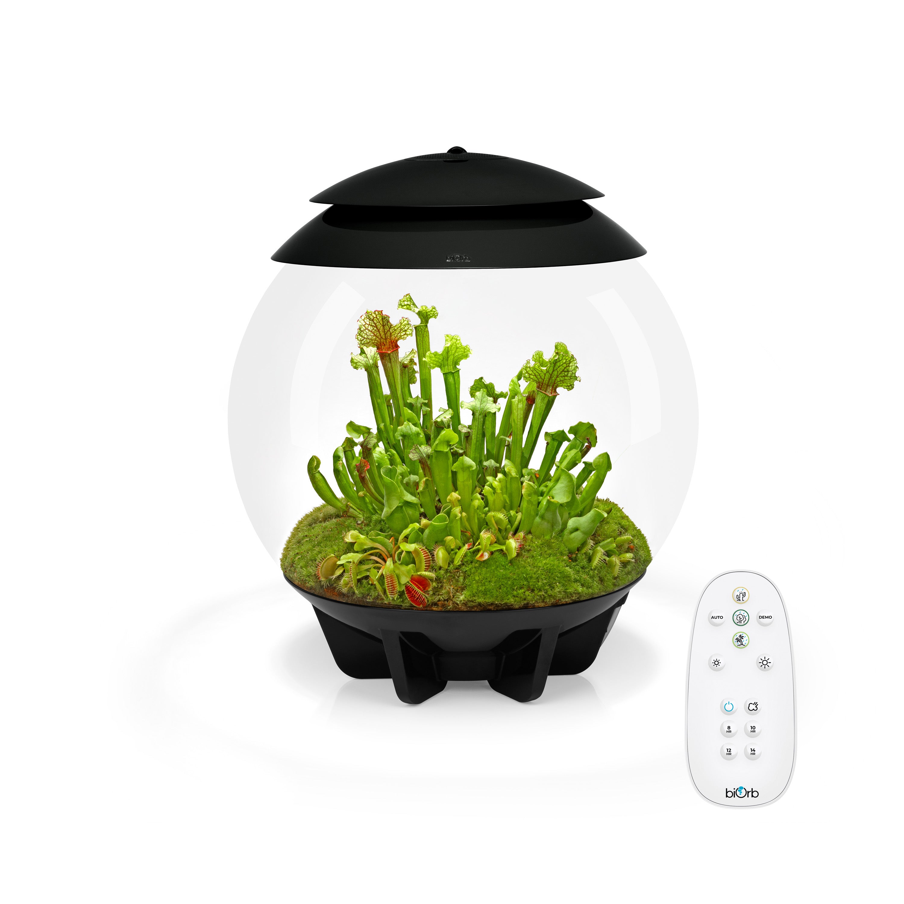 AIR 30 Terrarium - Black