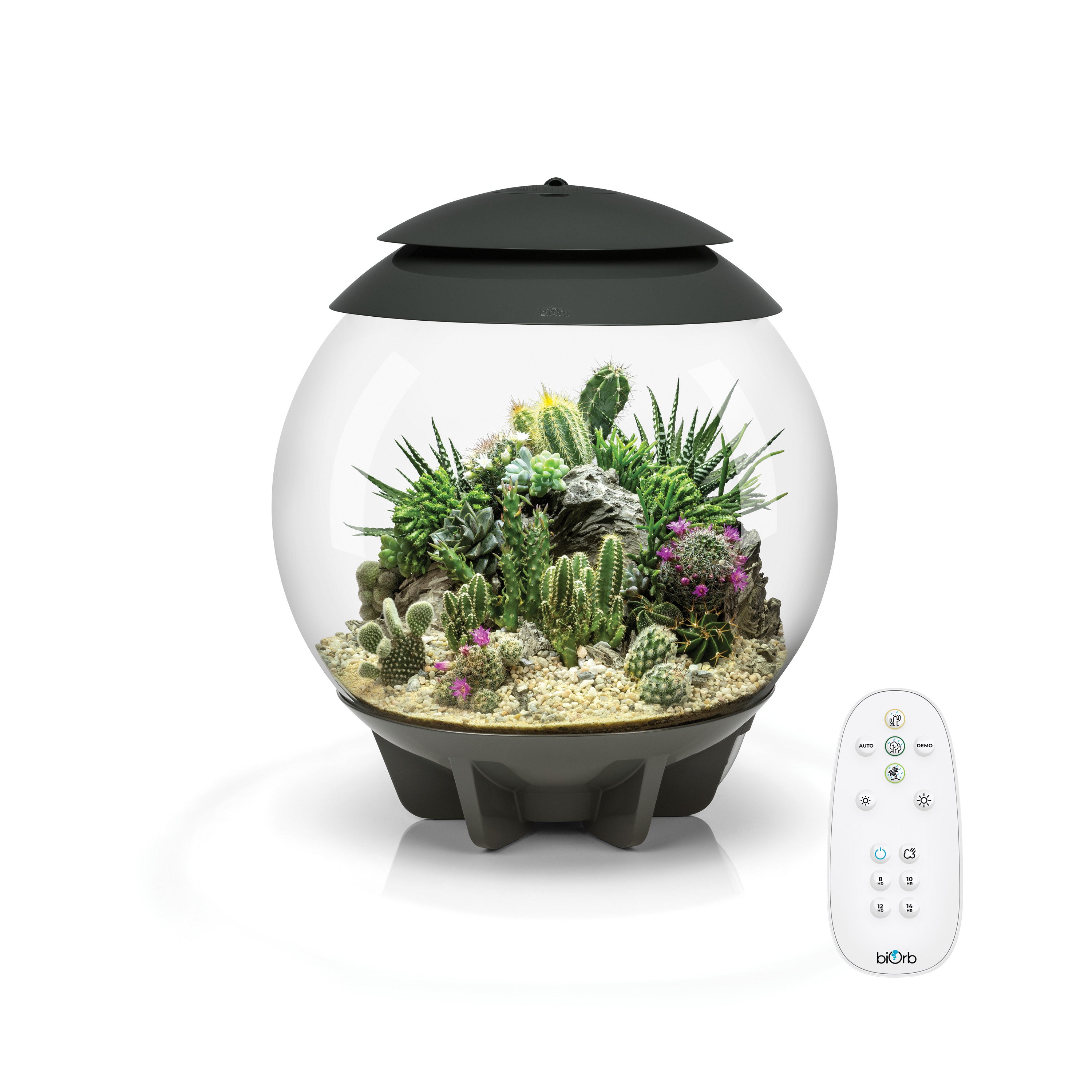 AIR 30 Terrarium - Grey