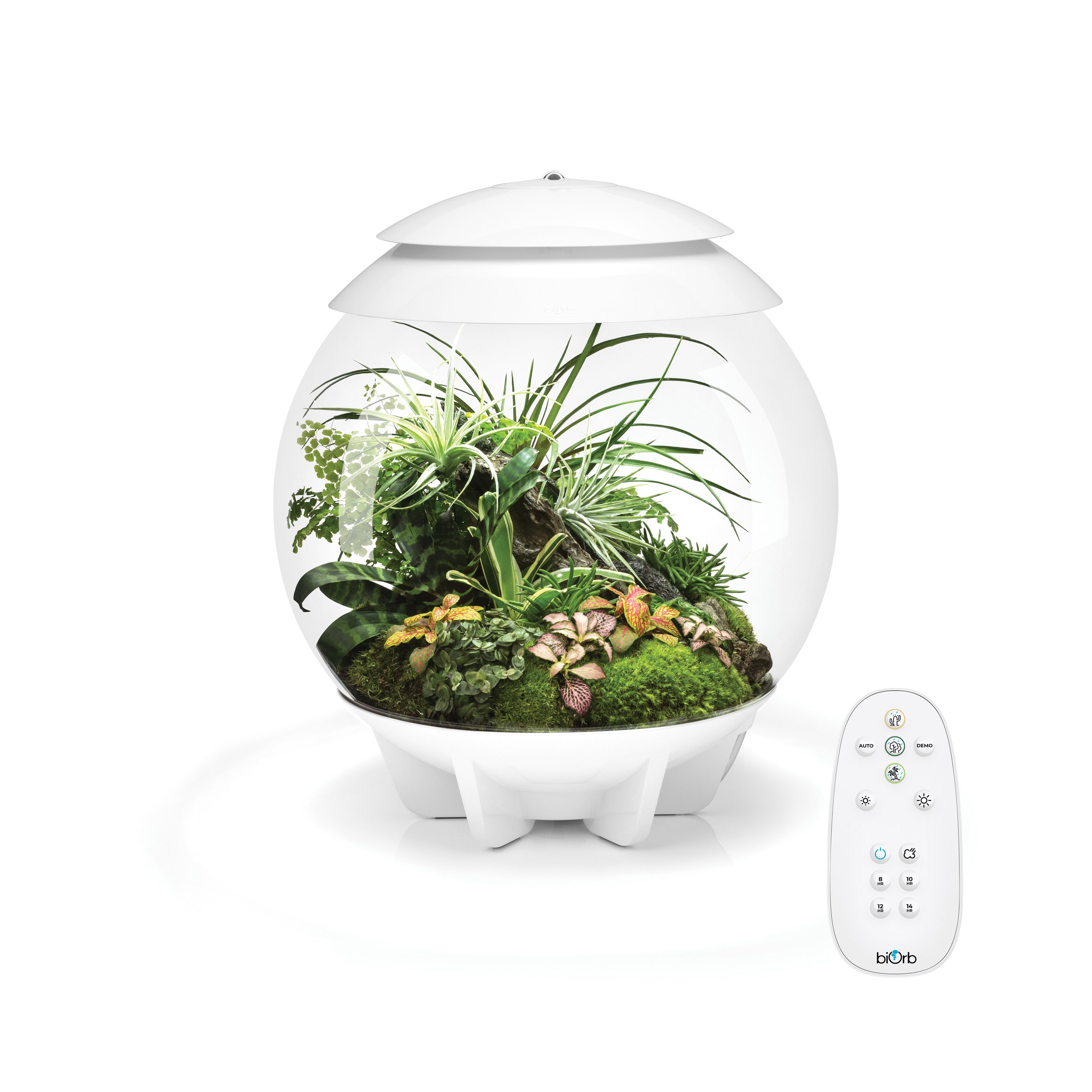 AIR 30 Terrarium - White