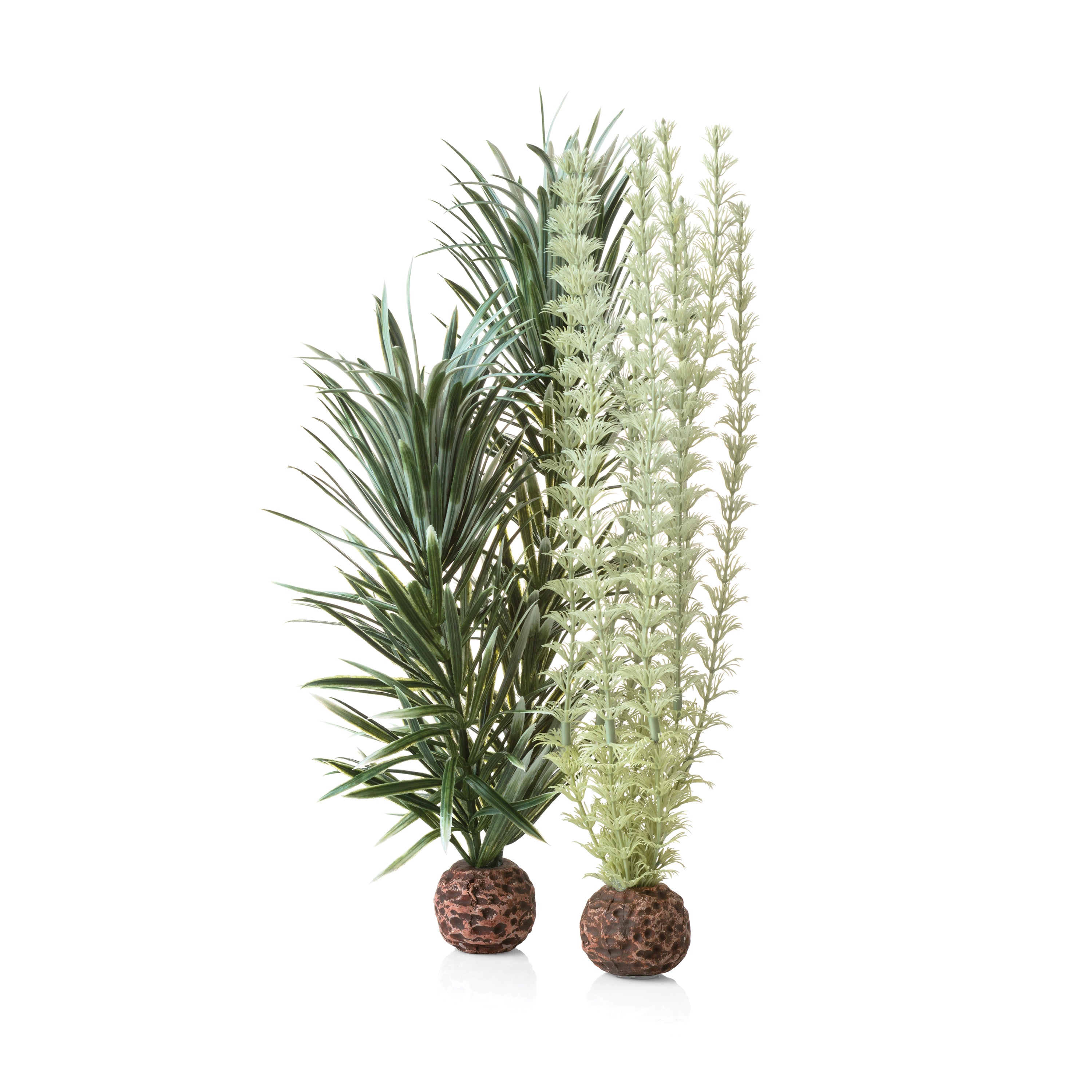 Medium Grey & Green Ambulia Plant Set of 2