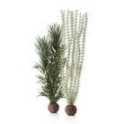 Large Grey & Green Ambulia Plant Set of 2
