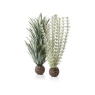 Small Grey & Green Ambulia Plant Set of 2