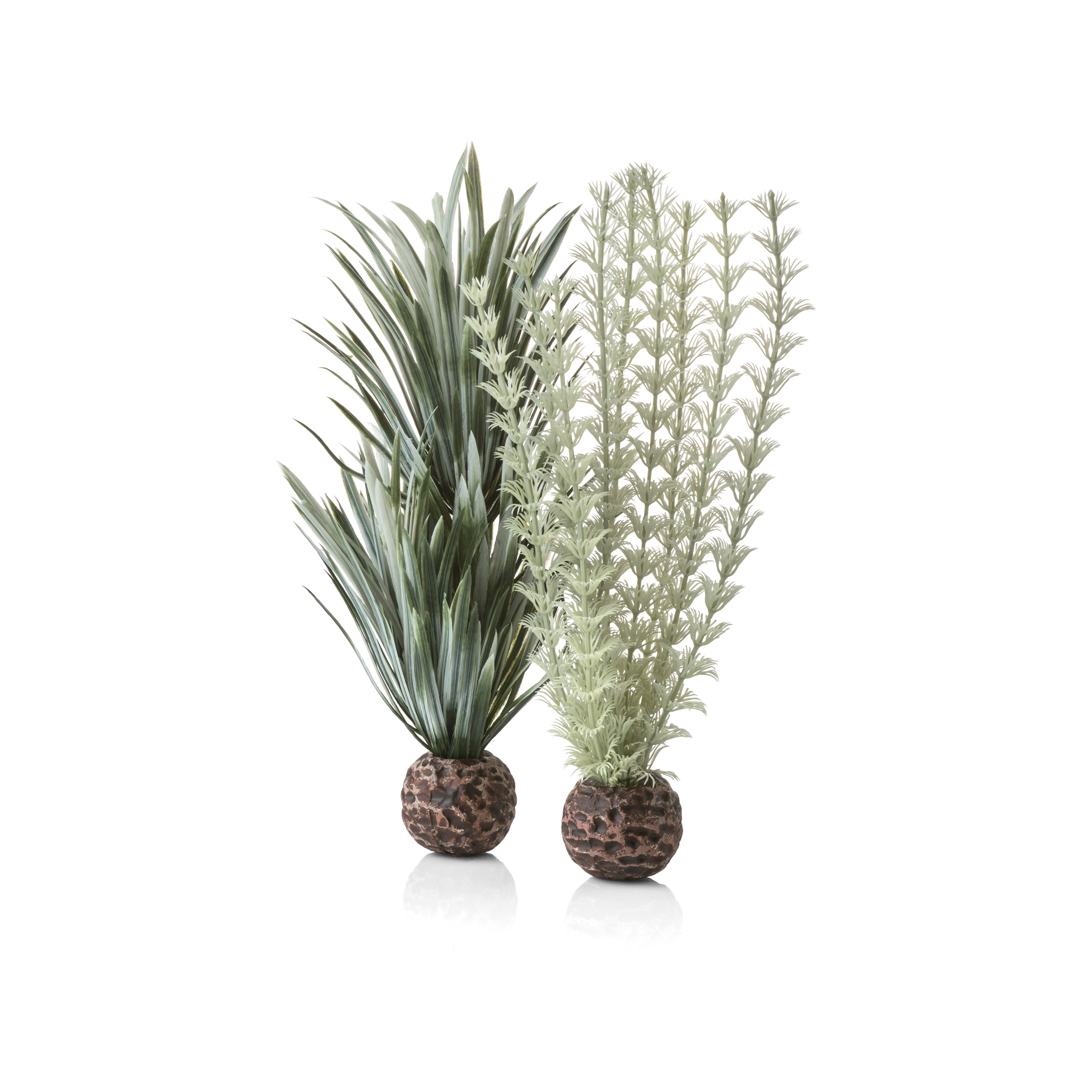 Small Grey & Green Ambulia Plant Set of 2