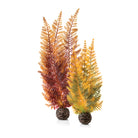 Fern Plant Set - Autumn