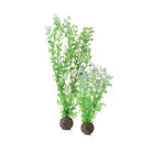 Winter Flower Plant Set of 2