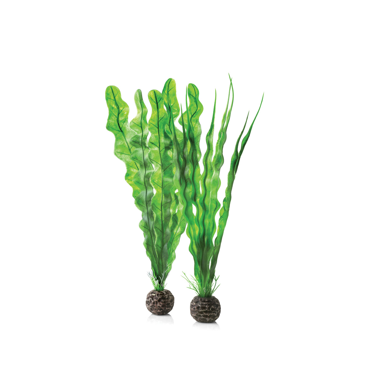 Easy Plant Set, medium green – biOrb