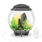 HALO 30 Aquarium with Multi Colour LED Light - Grey
