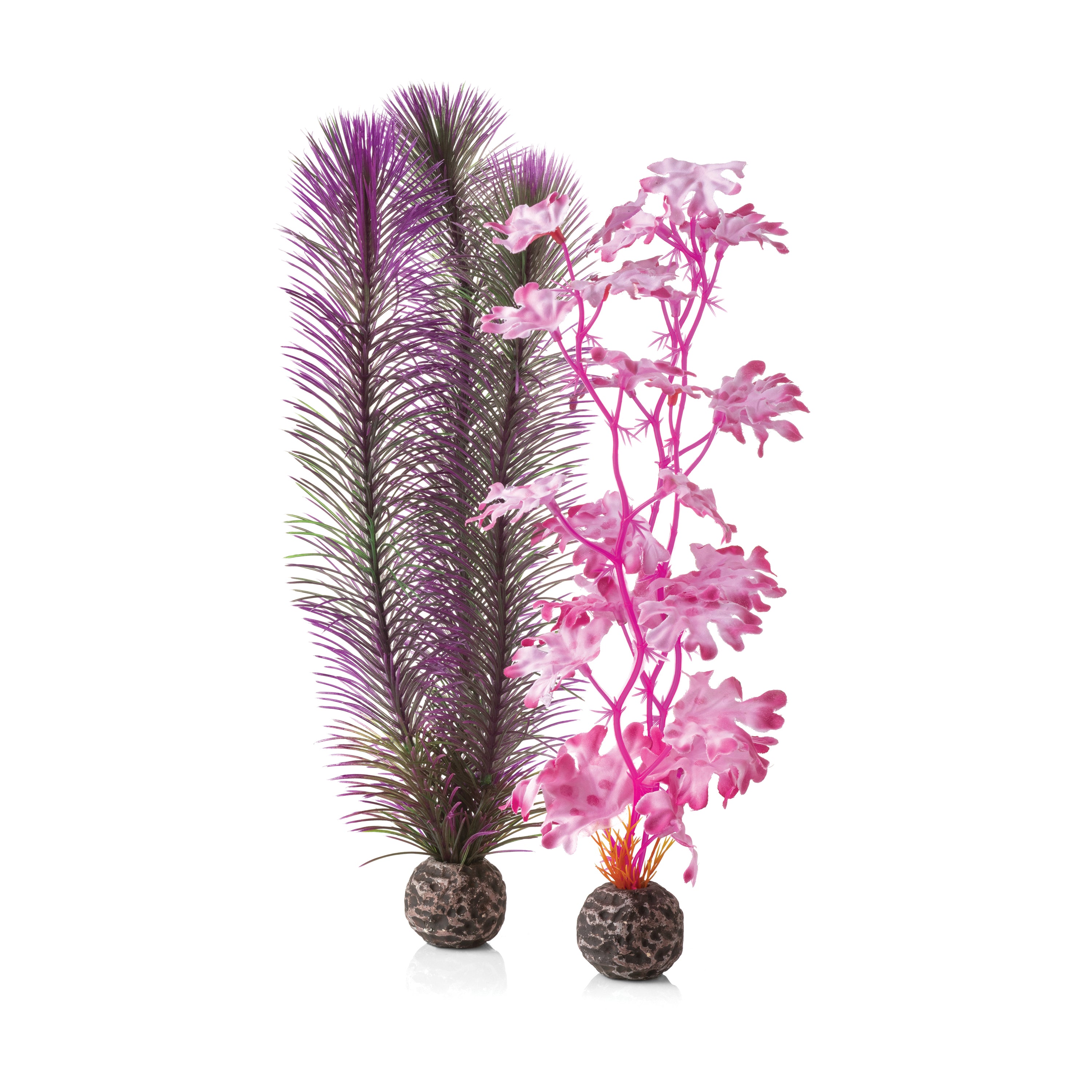 Medium Kelp Plant Set of 2 - Pink