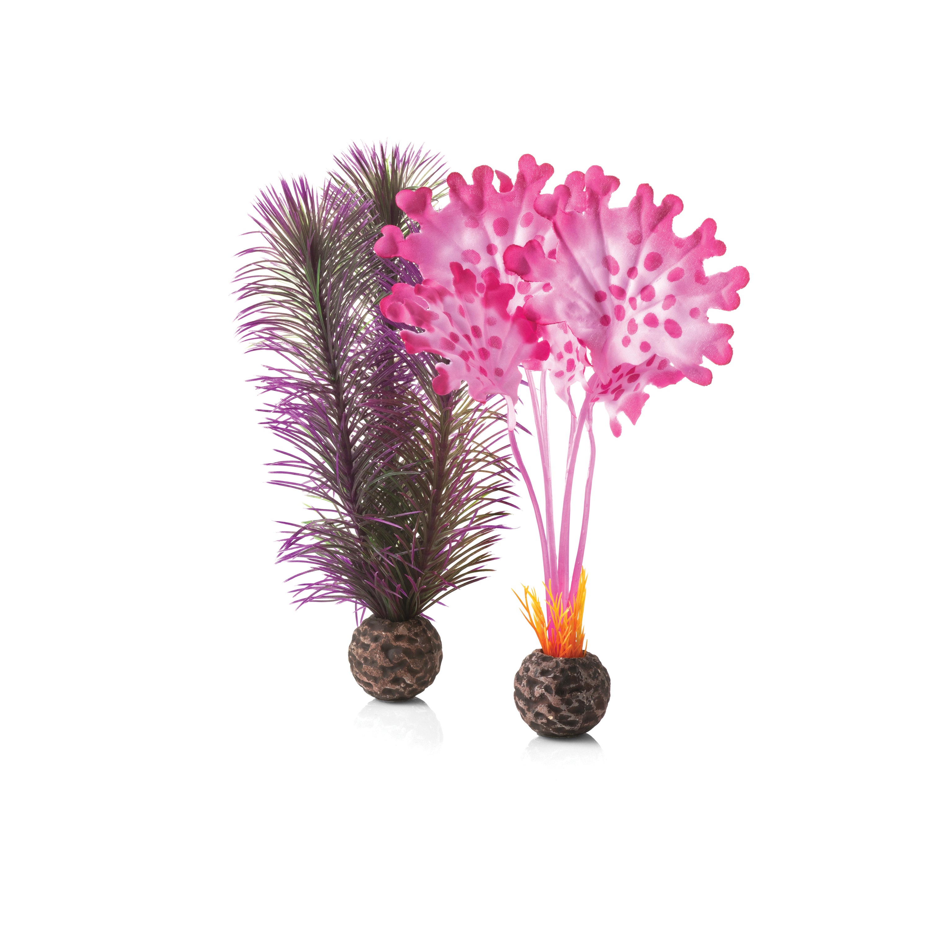 Small Kelp Plant Set - Pink
