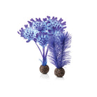 Small Kelp Plant Set - Purple