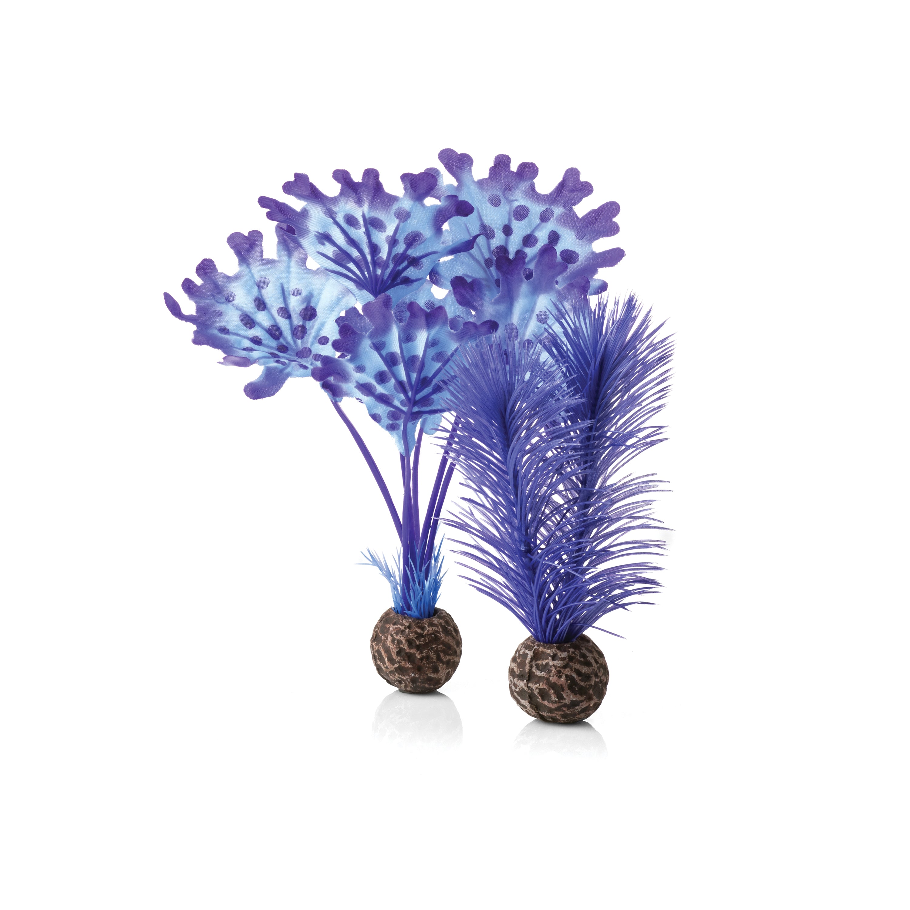 Small Kelp Plant Set - Purple