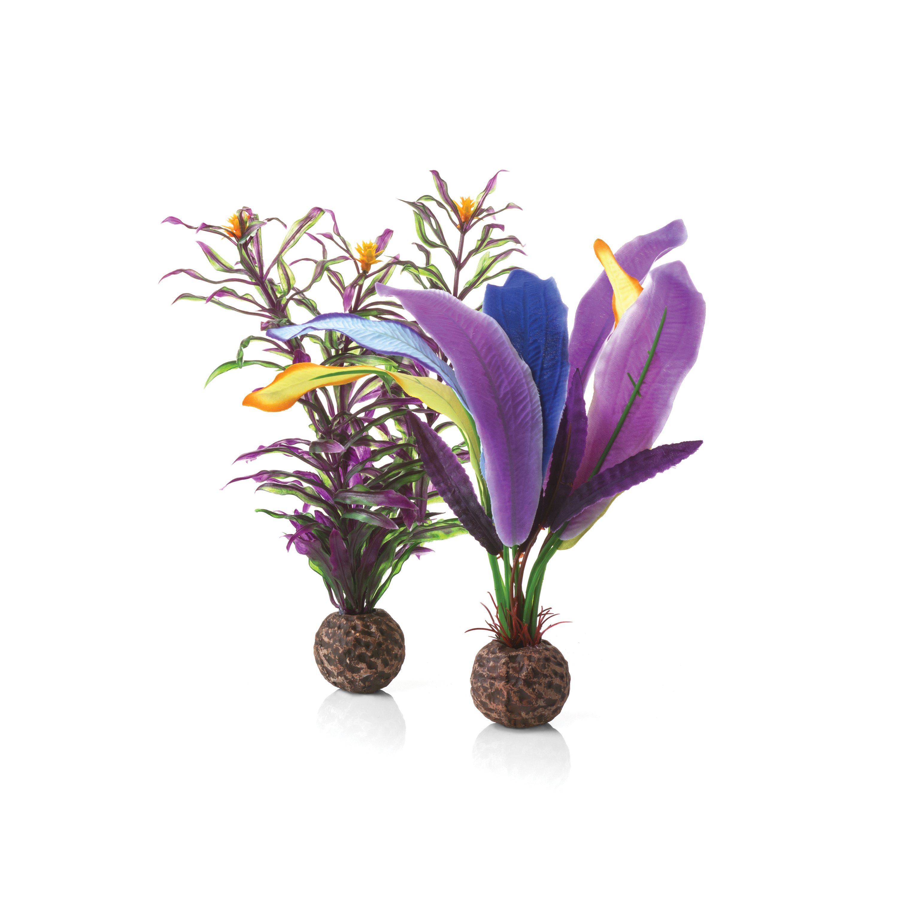 Small Parrot Feather Plant Set of 2