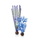 Medium Blue & Purple Plant Set of 2