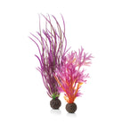 Medium Red & Pink Plant Set of 2