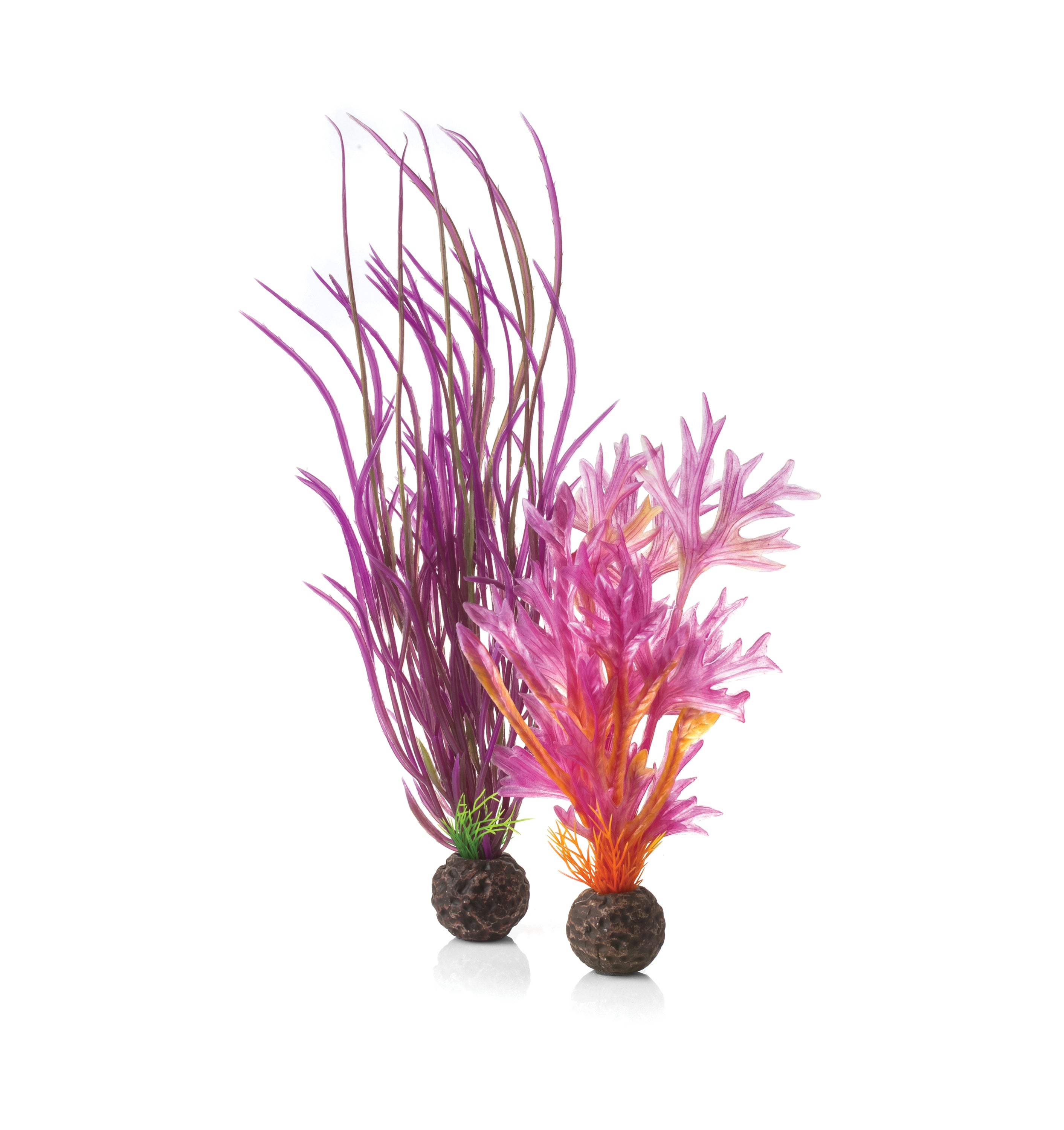 Medium Red & Pink Plant Set of 2