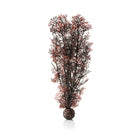 Large Sea Fan - Crimson