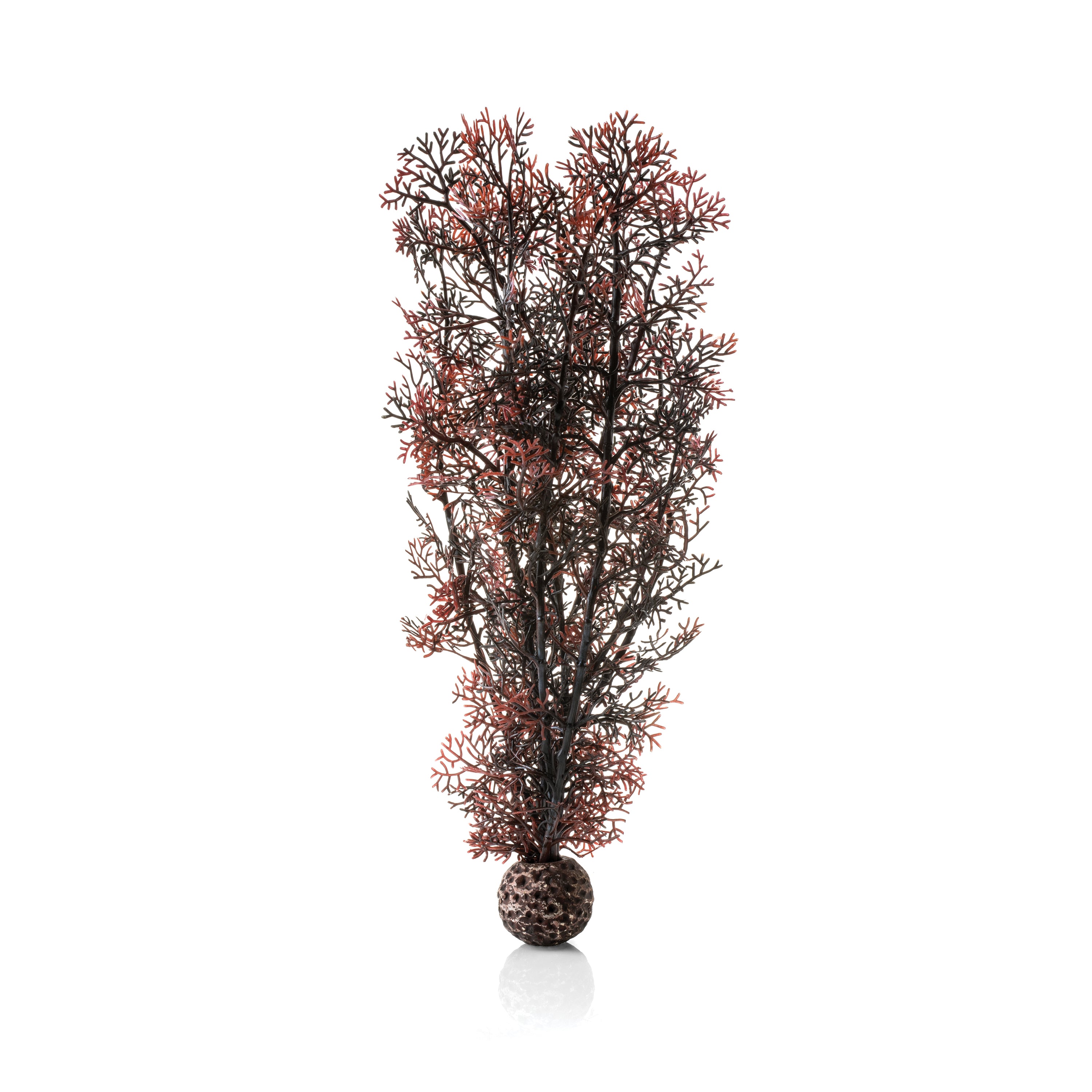 Large Sea Fan - Crimson