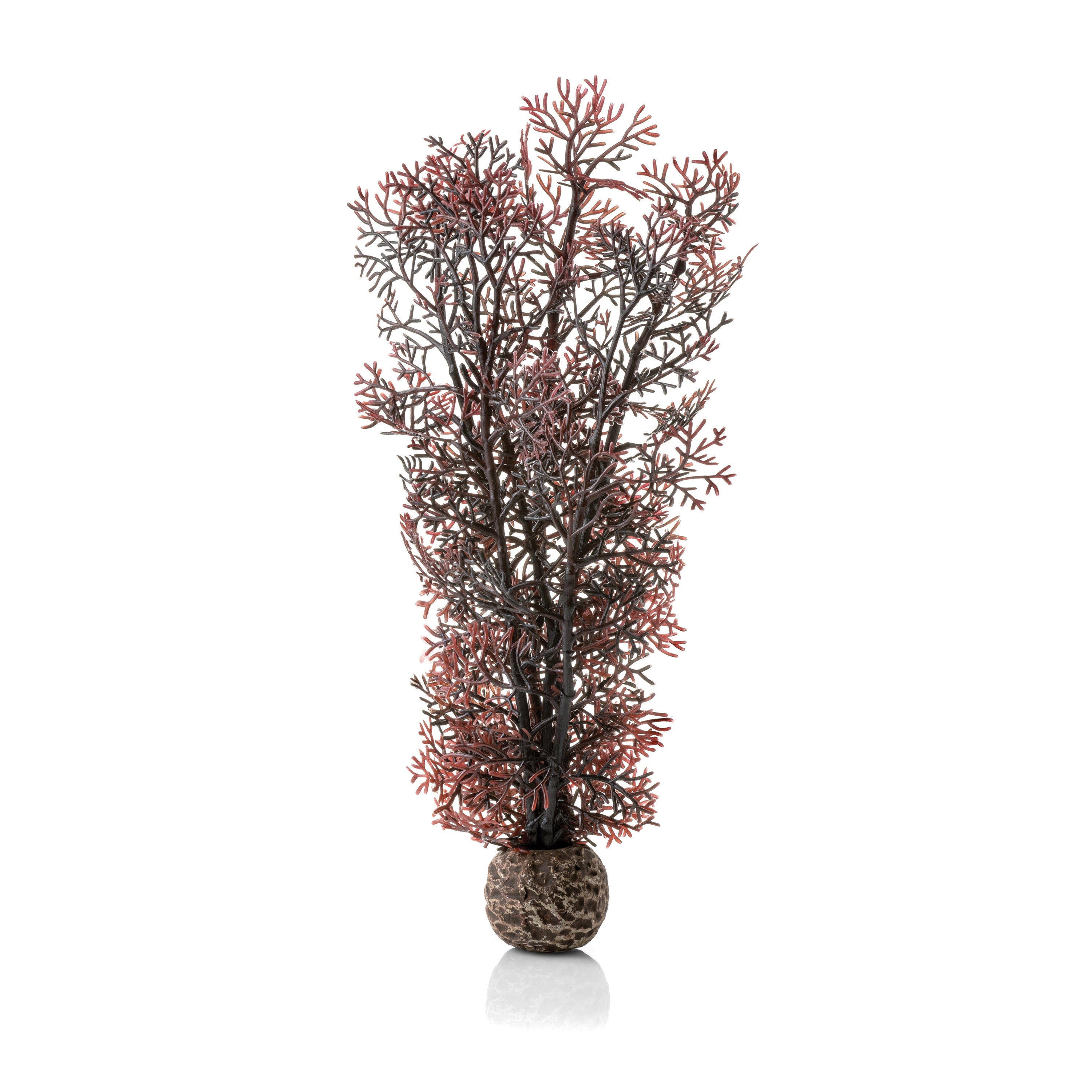 Medium Sea Fan - Crimson