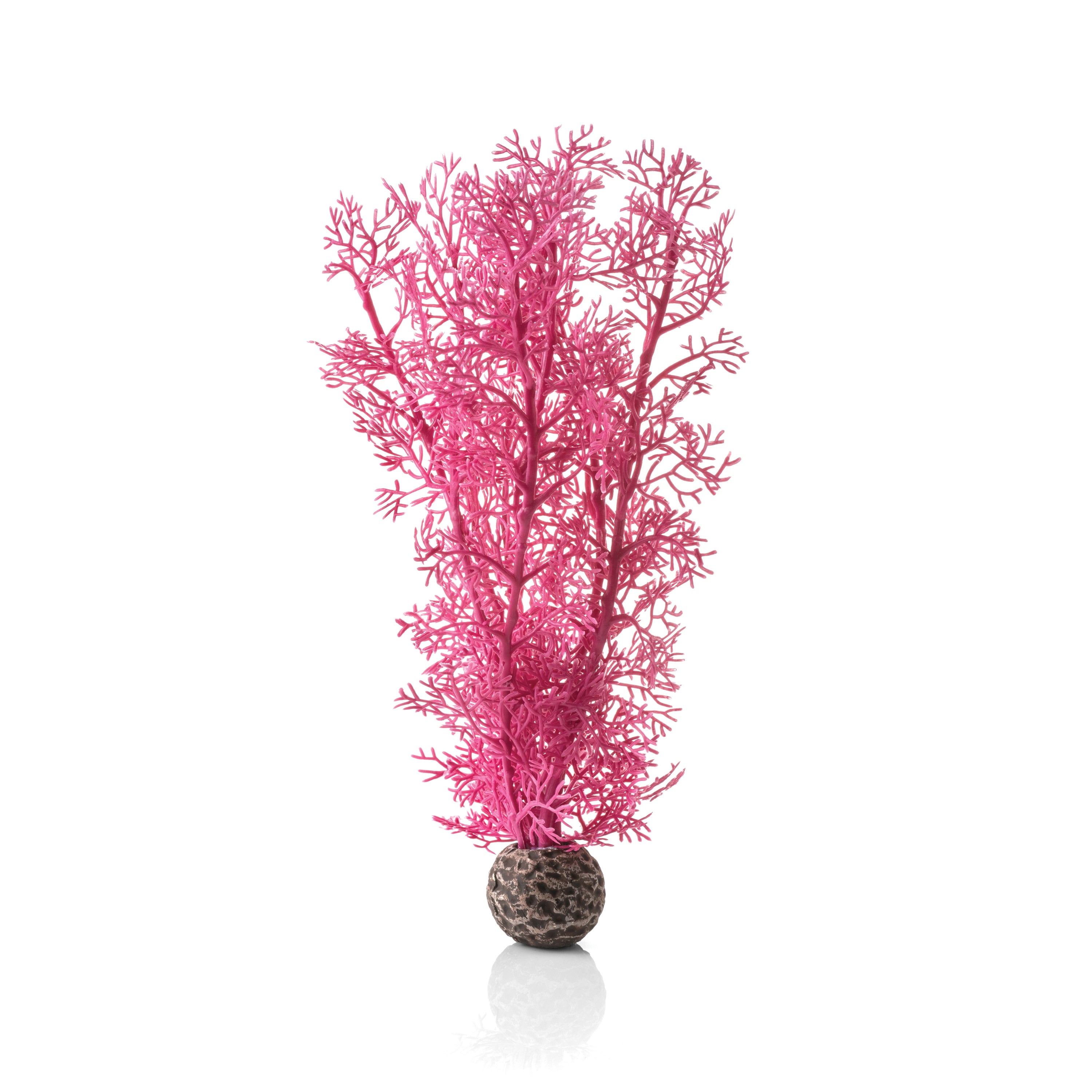 Medium Sea Fan - Pink