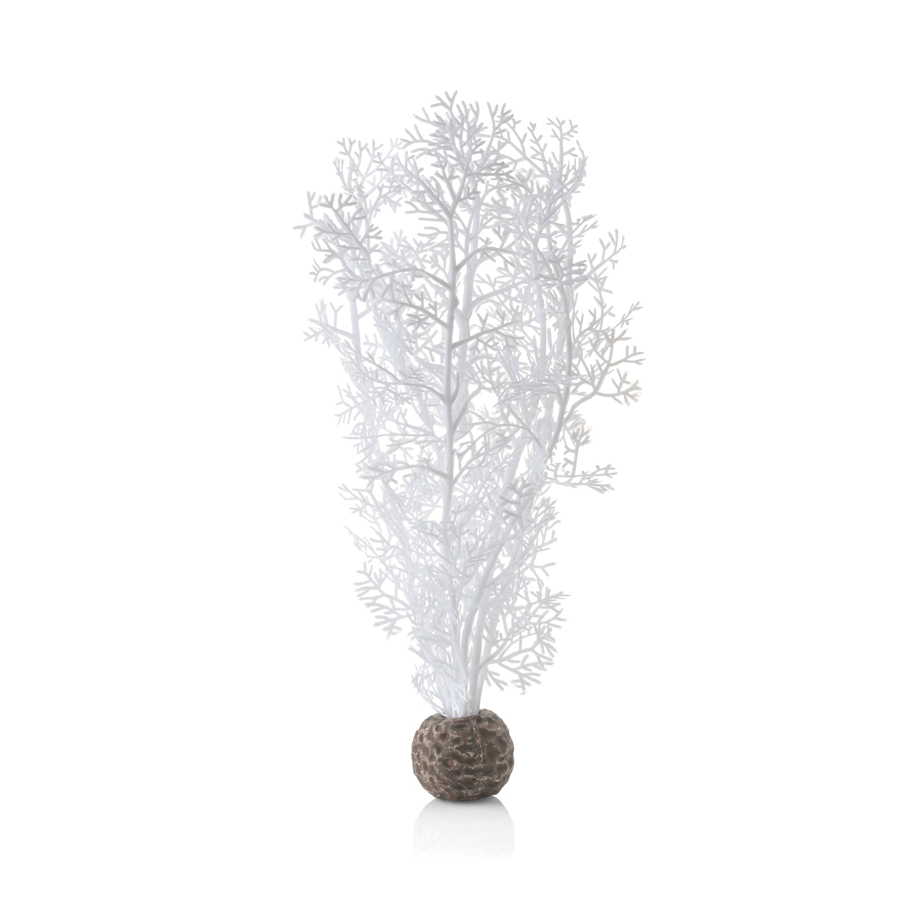 Medium Sea Fan - White