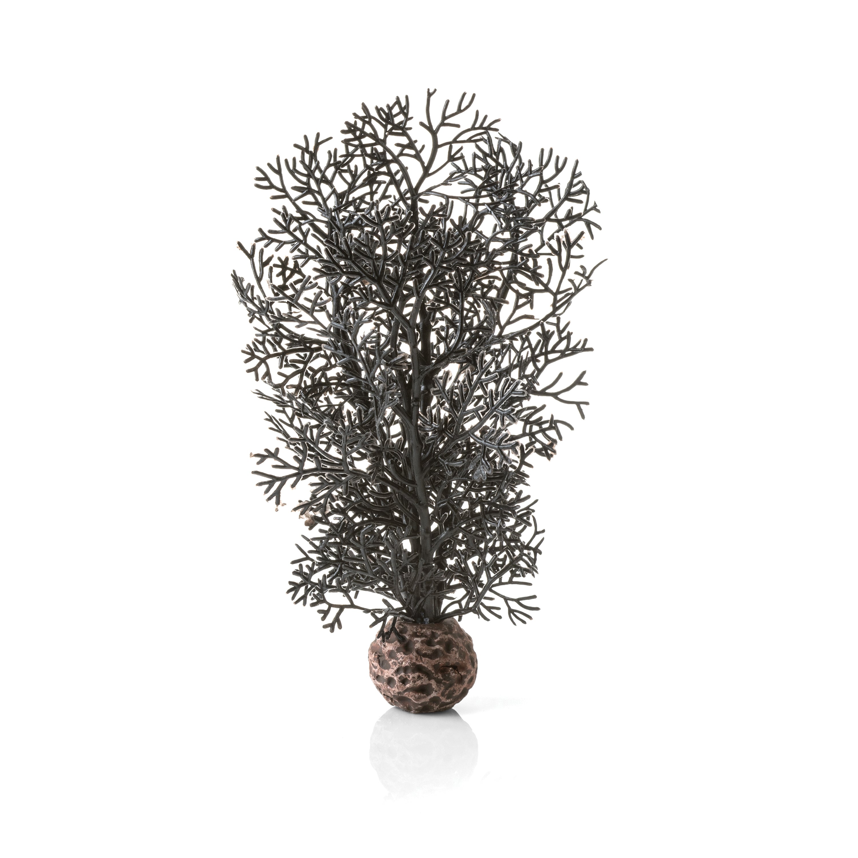 Small Sea Fan - Black