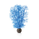 Small Sea Fan - Blue