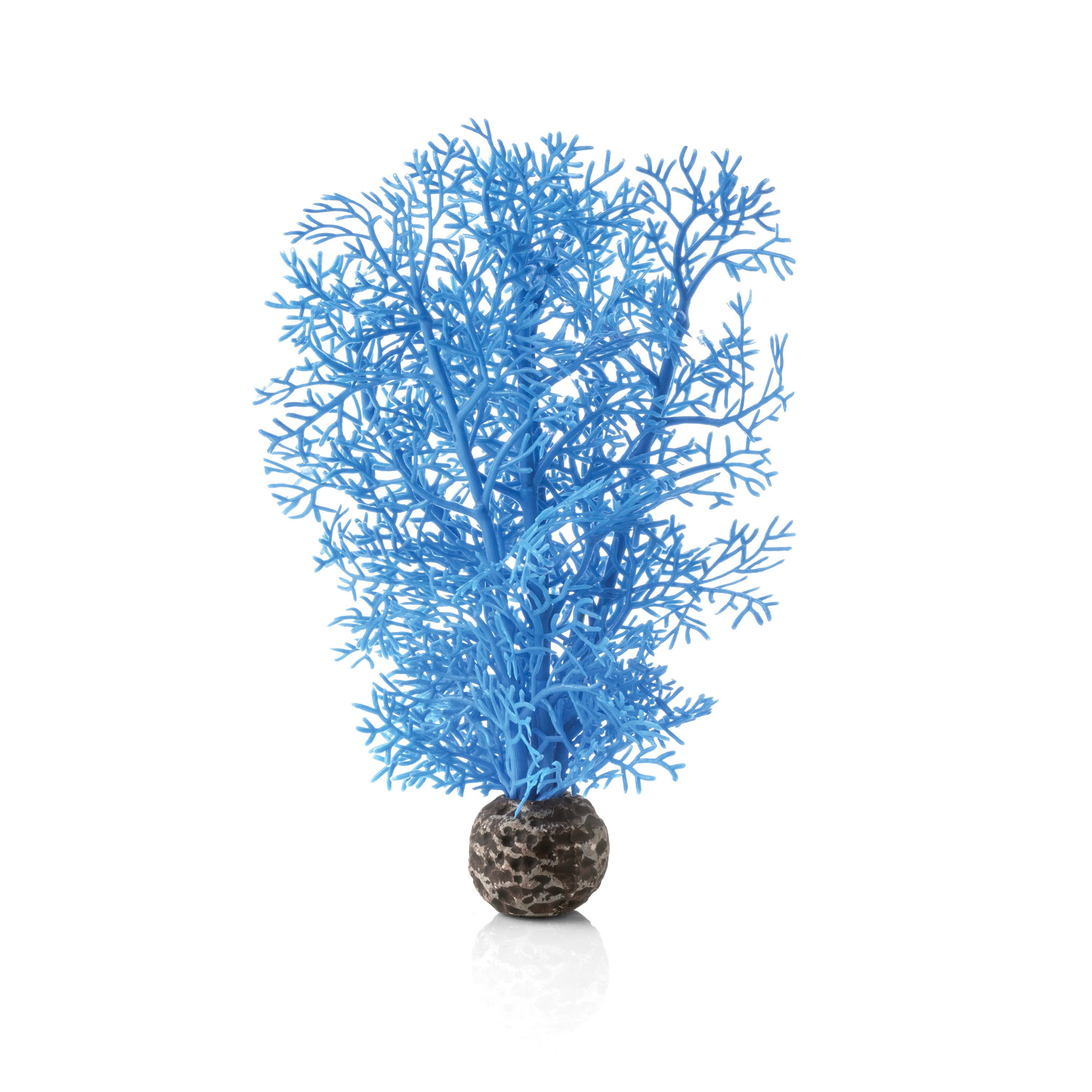 Small Sea Fan - Blue