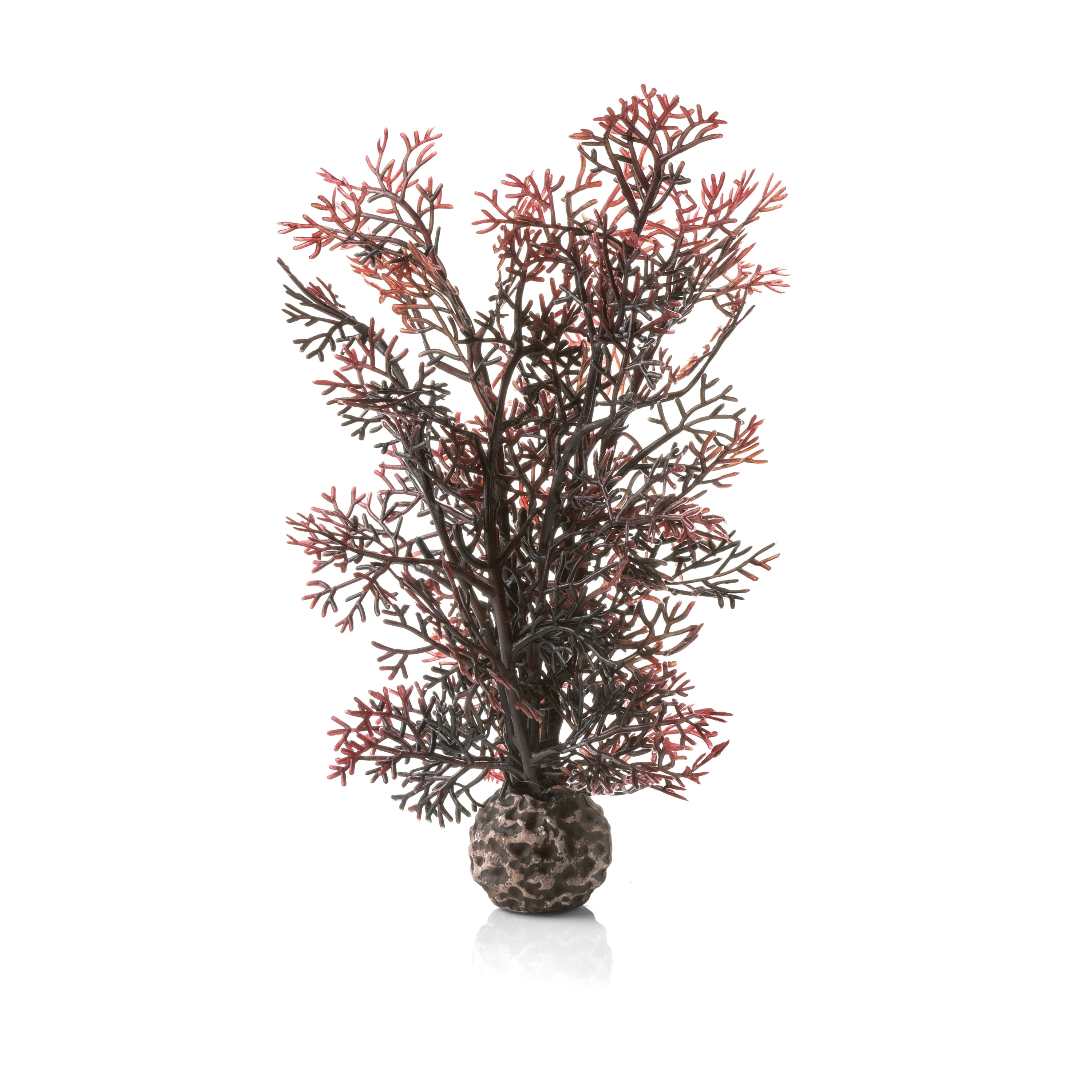 Small Sea Fan - Crimson