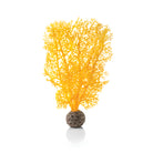 Small Sea Fan - Orange
