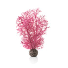 Small Sea Fan - Pink