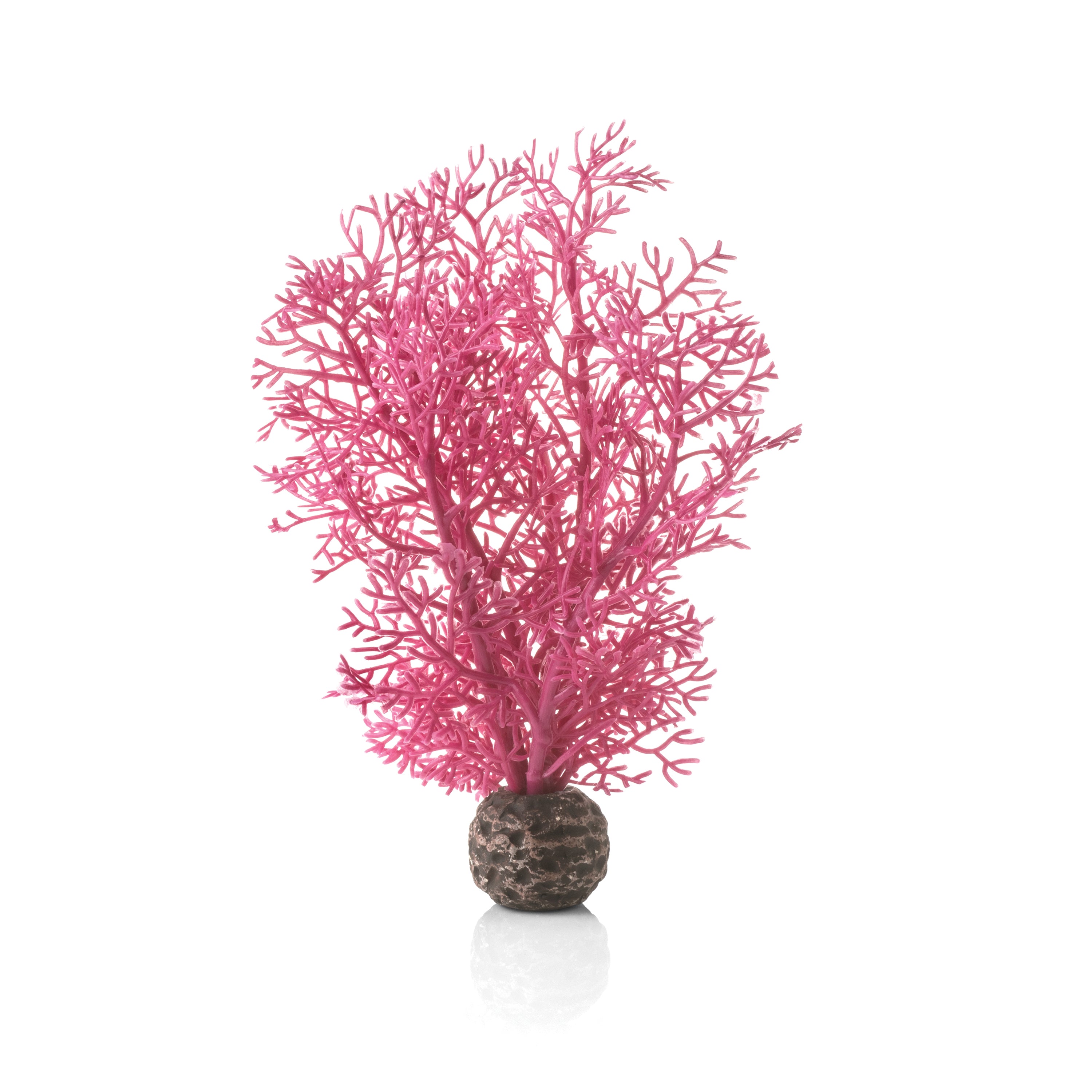 Small Sea Fan - Pink