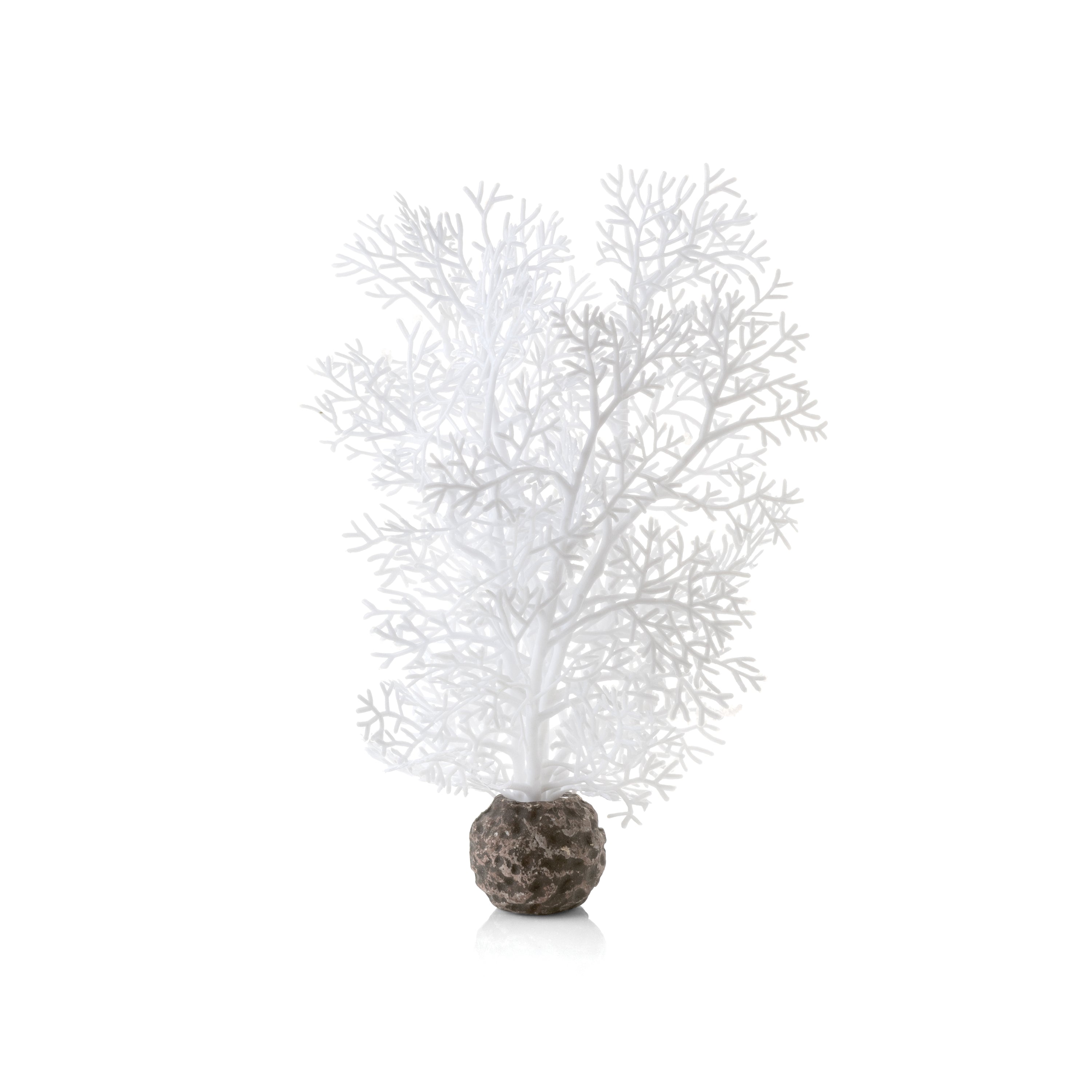 Small Sea Fan - White