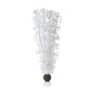Large Sea Fan - White