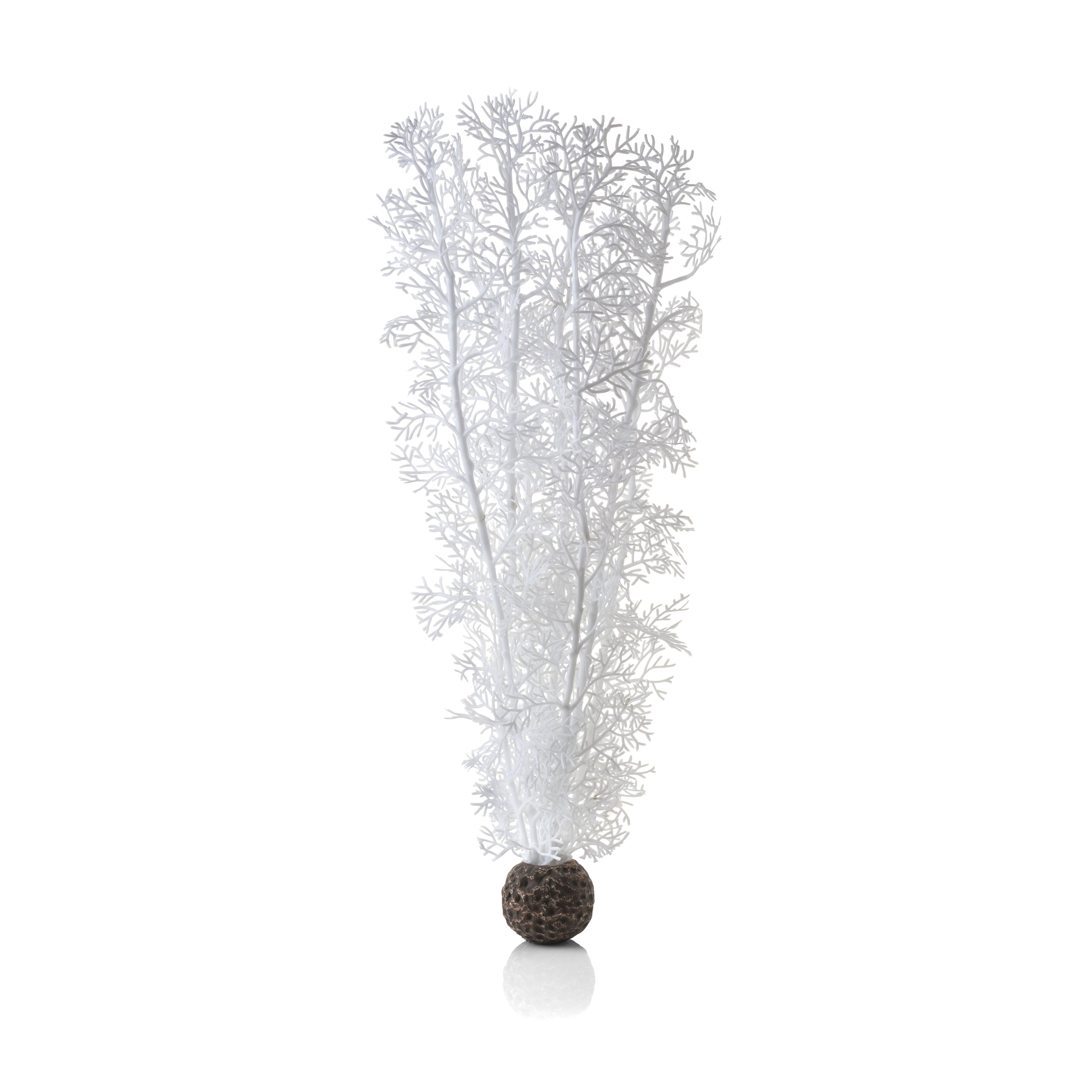 Large Sea Fan - White
