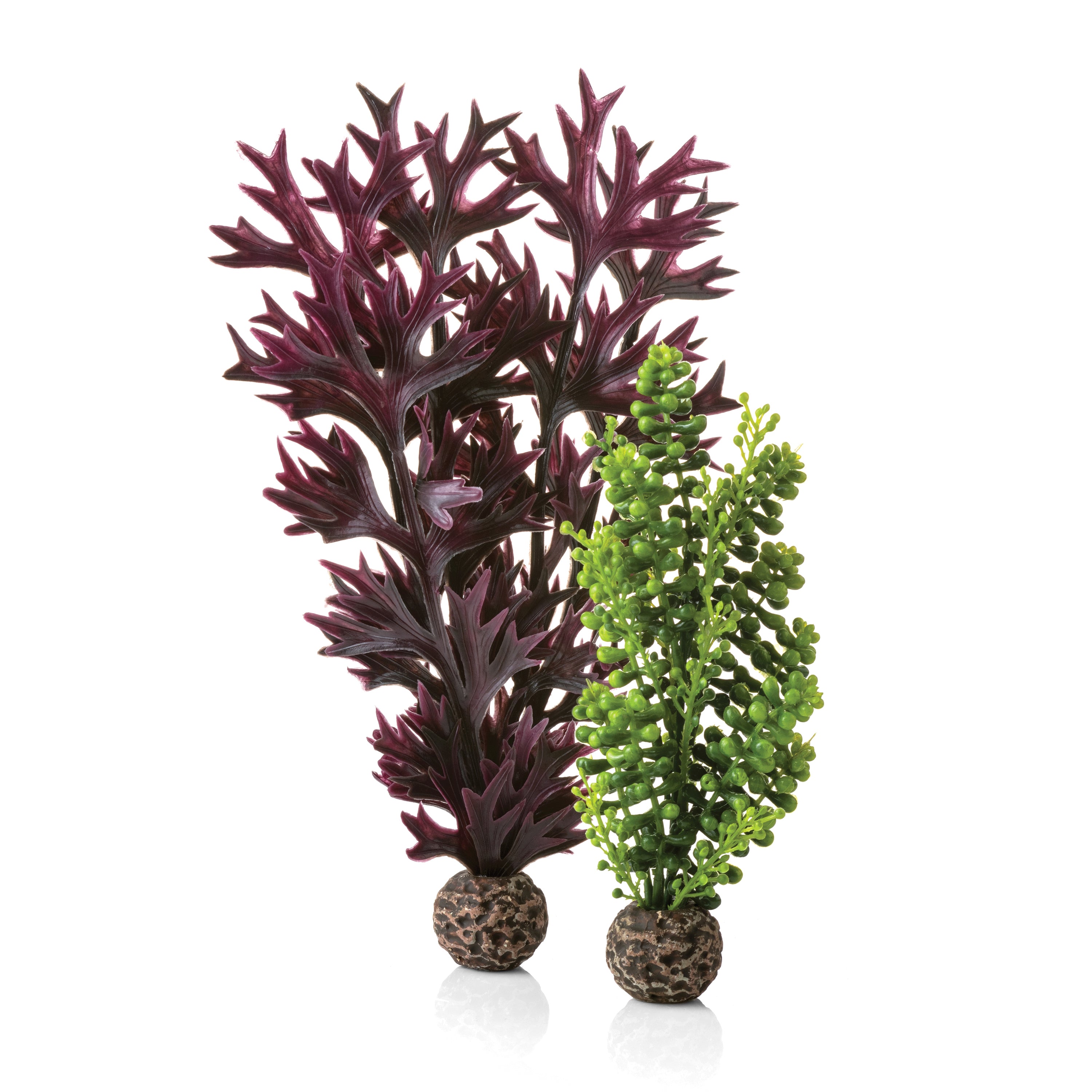 Medium Seapearls & Kelp Plant Set of 2